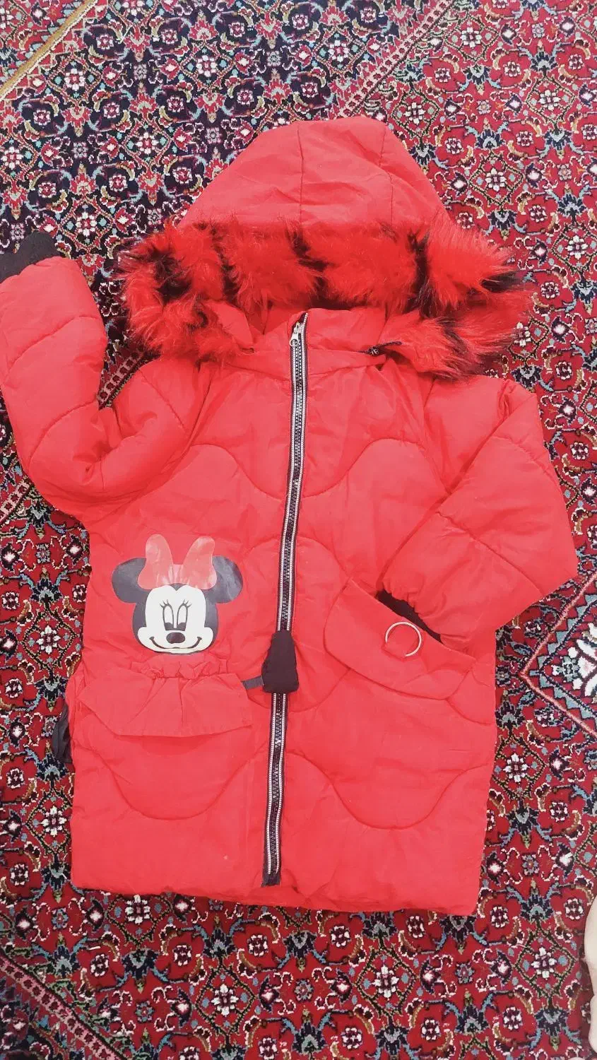 سویشرت گرم|لباس|همدان, |دیوار