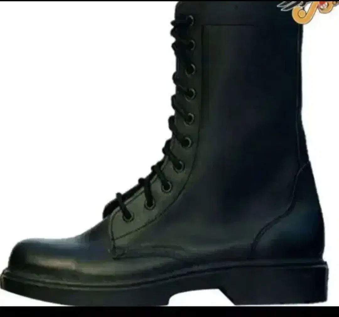 پوتین نظامی افسری|کیف، کفش، کمربند|تبریز, |دیوار