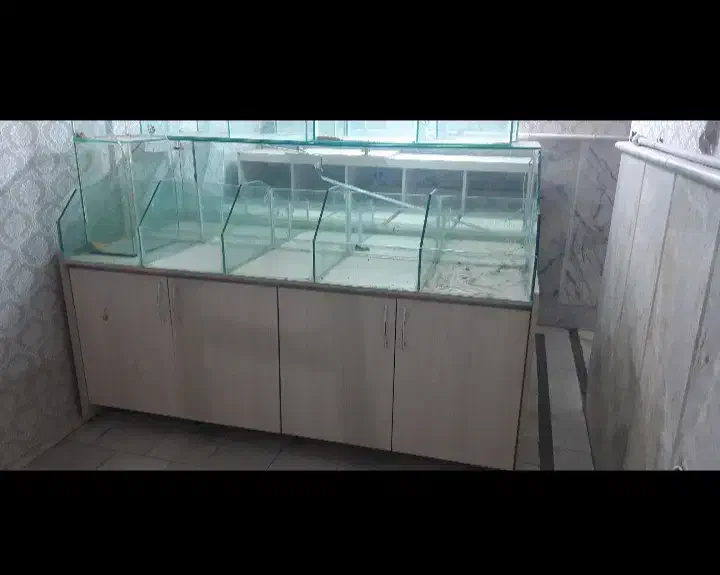 دکور خشکبار|فروشگاه و مغازه|مشهد, زمرد|دیوار