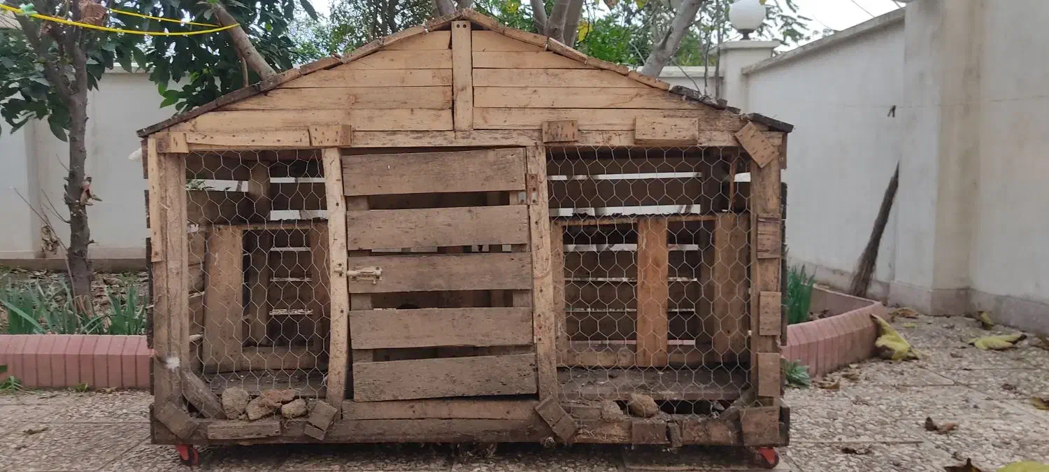 قفس مرغ و پرنده|لوازم جانبی حیوانات|رامسر, |دیوار