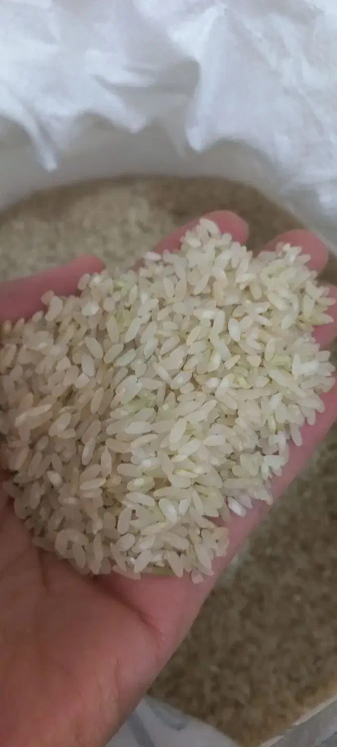 برنج کامفیروزی|خوردنی و آشامیدنی|شهرکرد, |دیوار