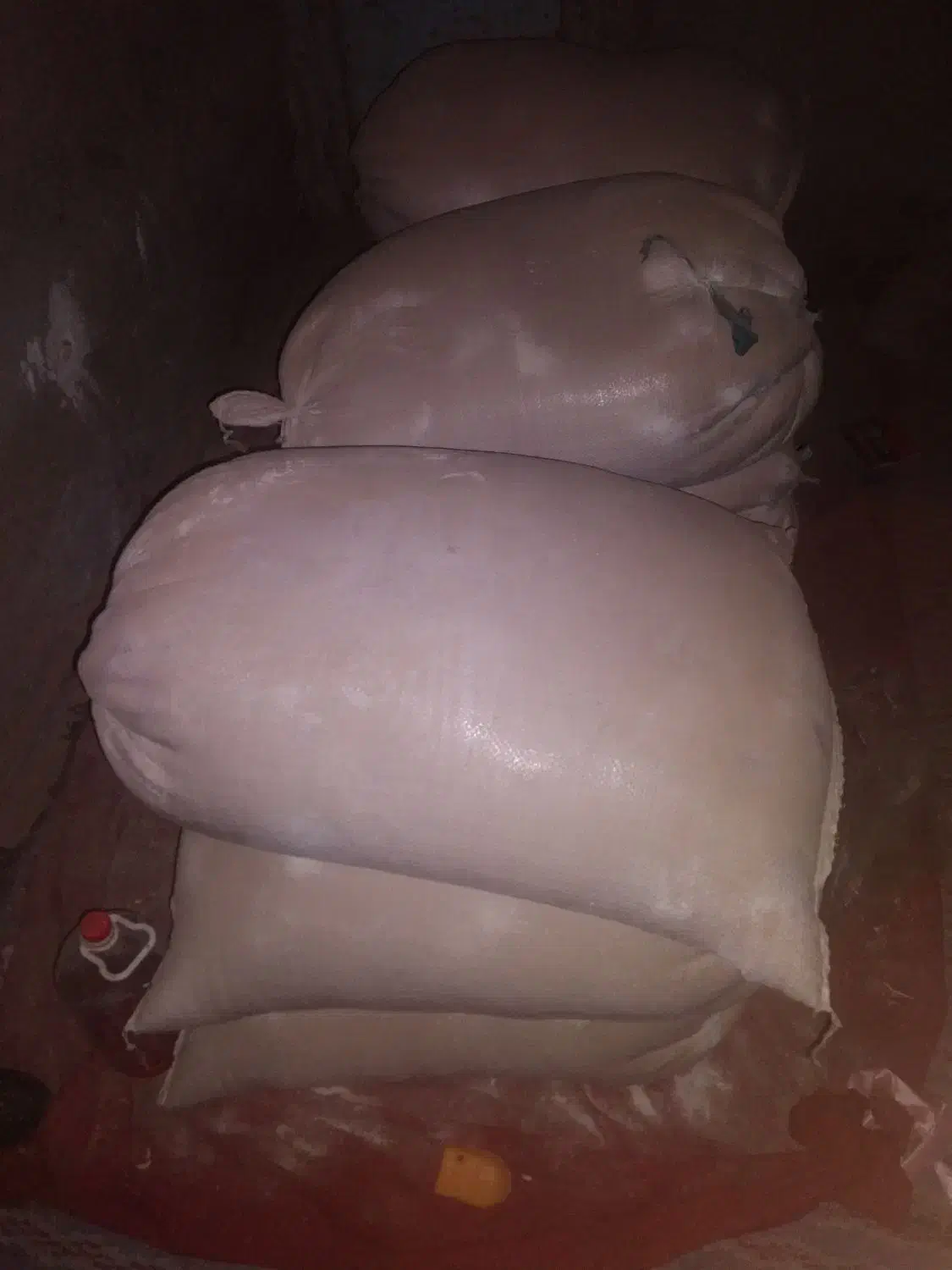 گندمتخمسمزده|لوازم جانبی حیوانات|زابل, |دیوار