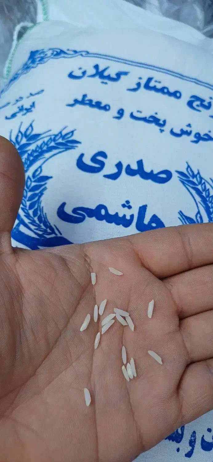 برنج هاشمی|خوردنی و آشامیدنی|رشت, دیانتی|دیوار