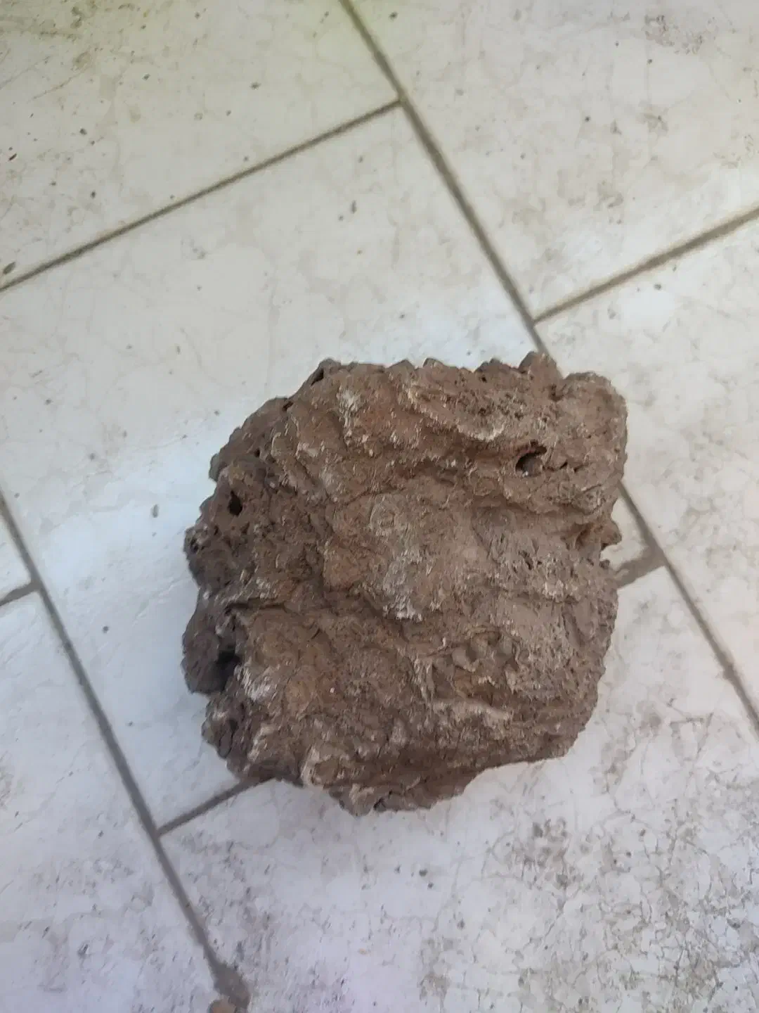 سنگ کلکسیونی|کلکسیون اشیاء عتیقه|ماهان, |دیوار