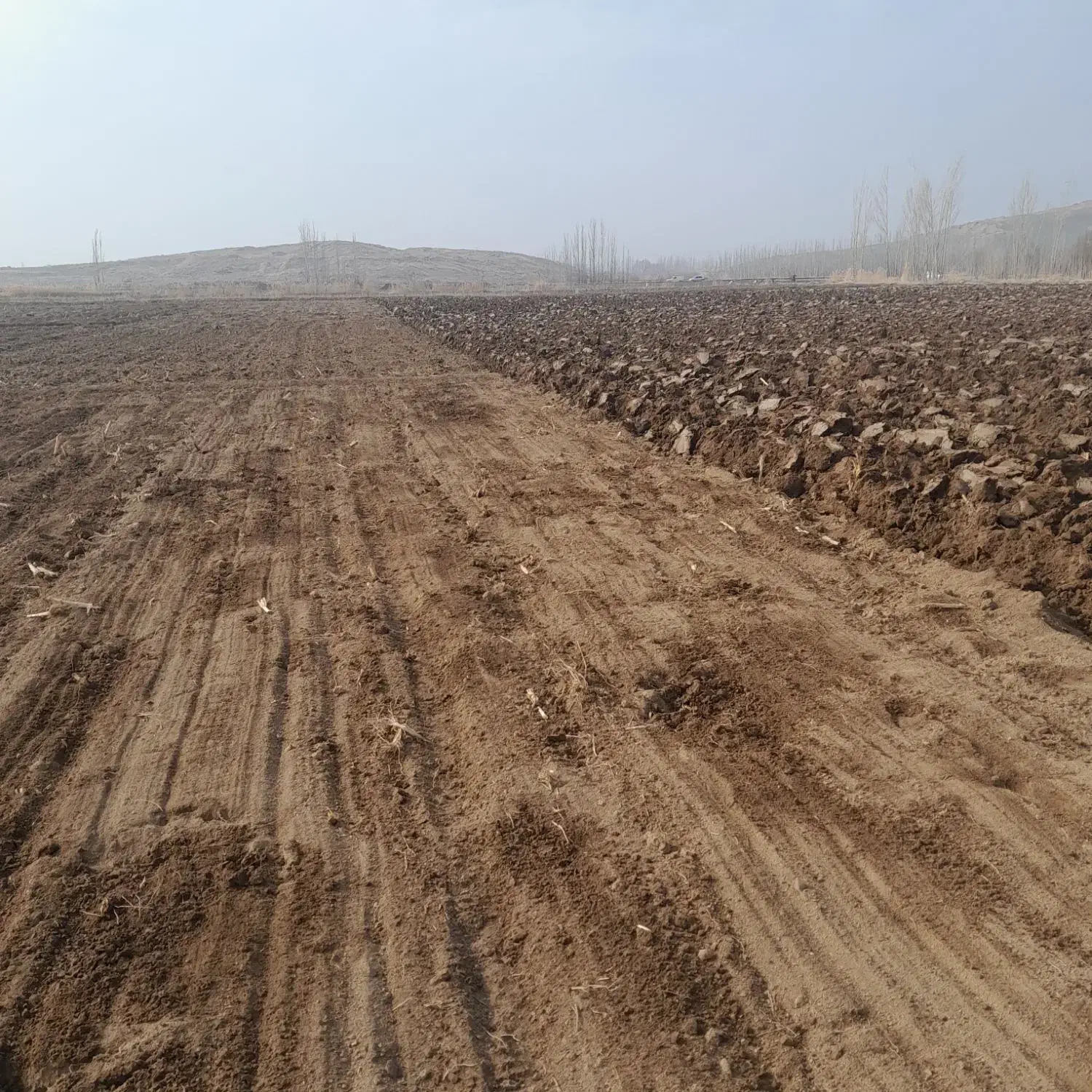 اجاره 9 هکتار زمین کشاورزی|اجارهٔ دفتر صنعتی، کشاورزی، تجاری|میاندوآب, |دیوار