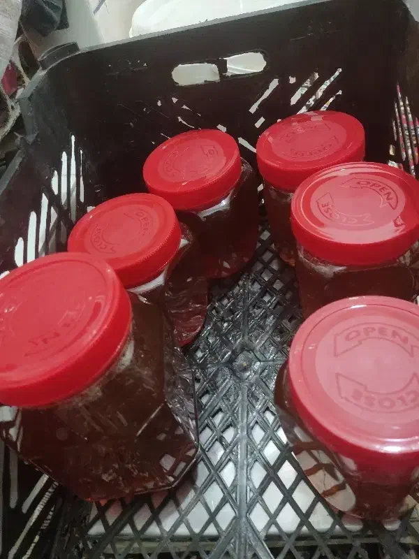 عسل کندو درجه یک بدون شکر|خوردنی و آشامیدنی|باشت, |دیوار