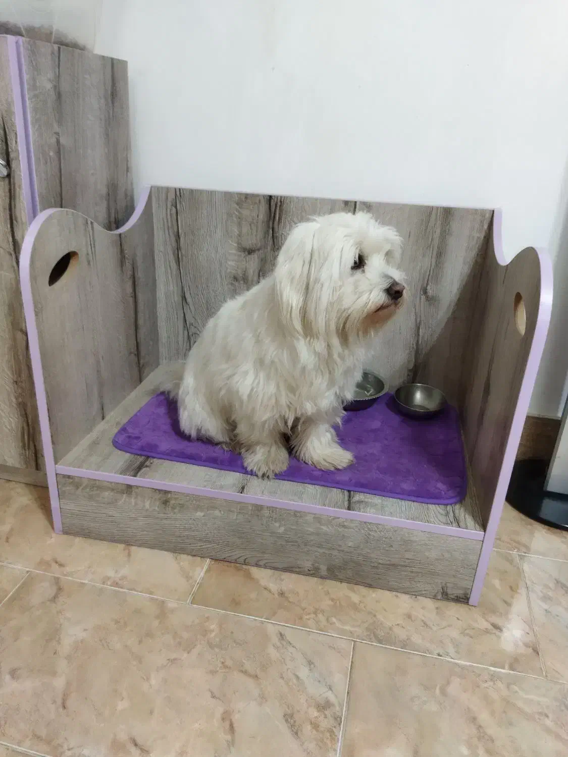 تخت خواب حیوانات خانگی سگ وگربه|لوازم جانبی حیوانات|رشت, انصاری|دیوار