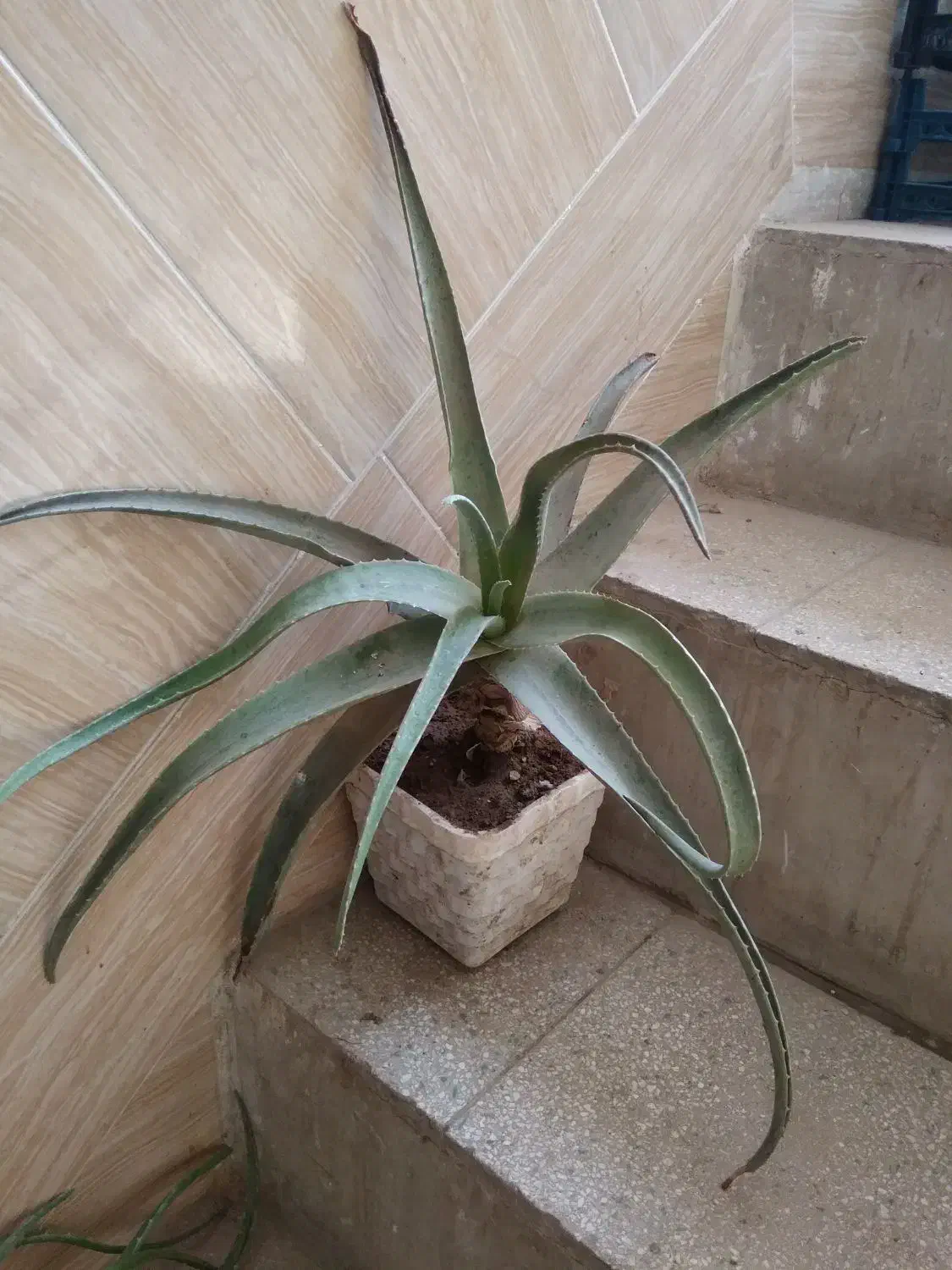 کلی وسایل بازی|کنسول، بازی ویدئویی و آنلاین|قم, هنرستان|دیوار