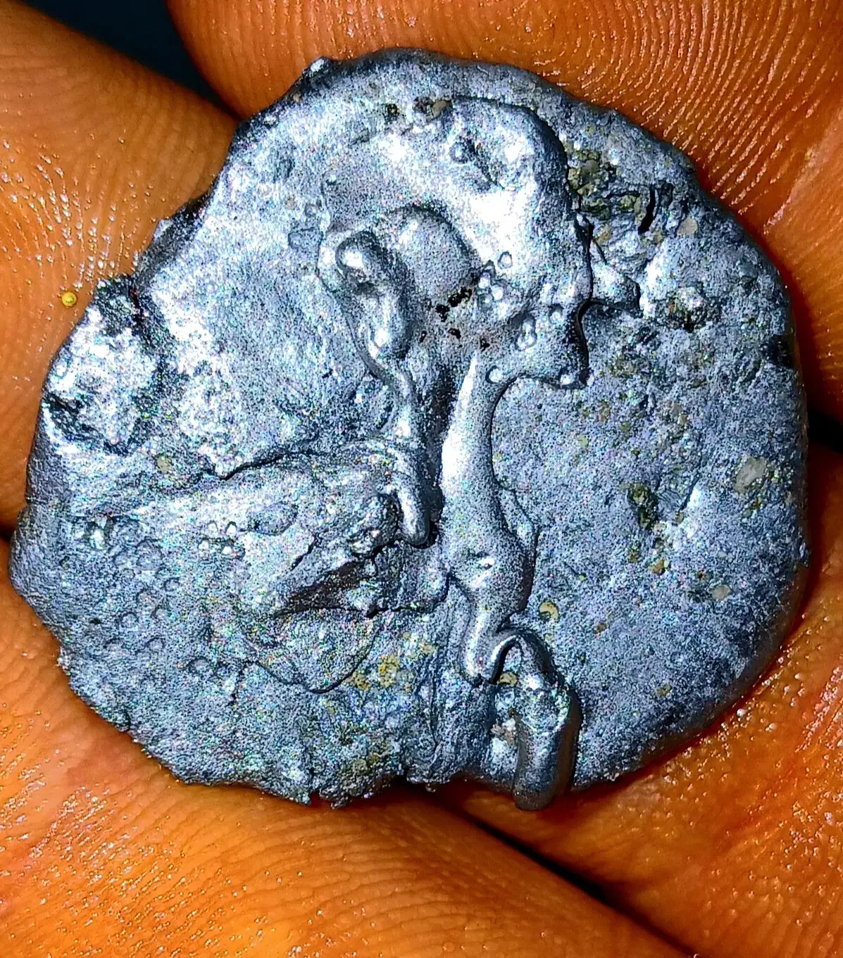 سکه قدیمی عتیقه|کلکسیون سکه، تمبر، اسکناس|شاهینشهر, گزبرخوار|دیوار