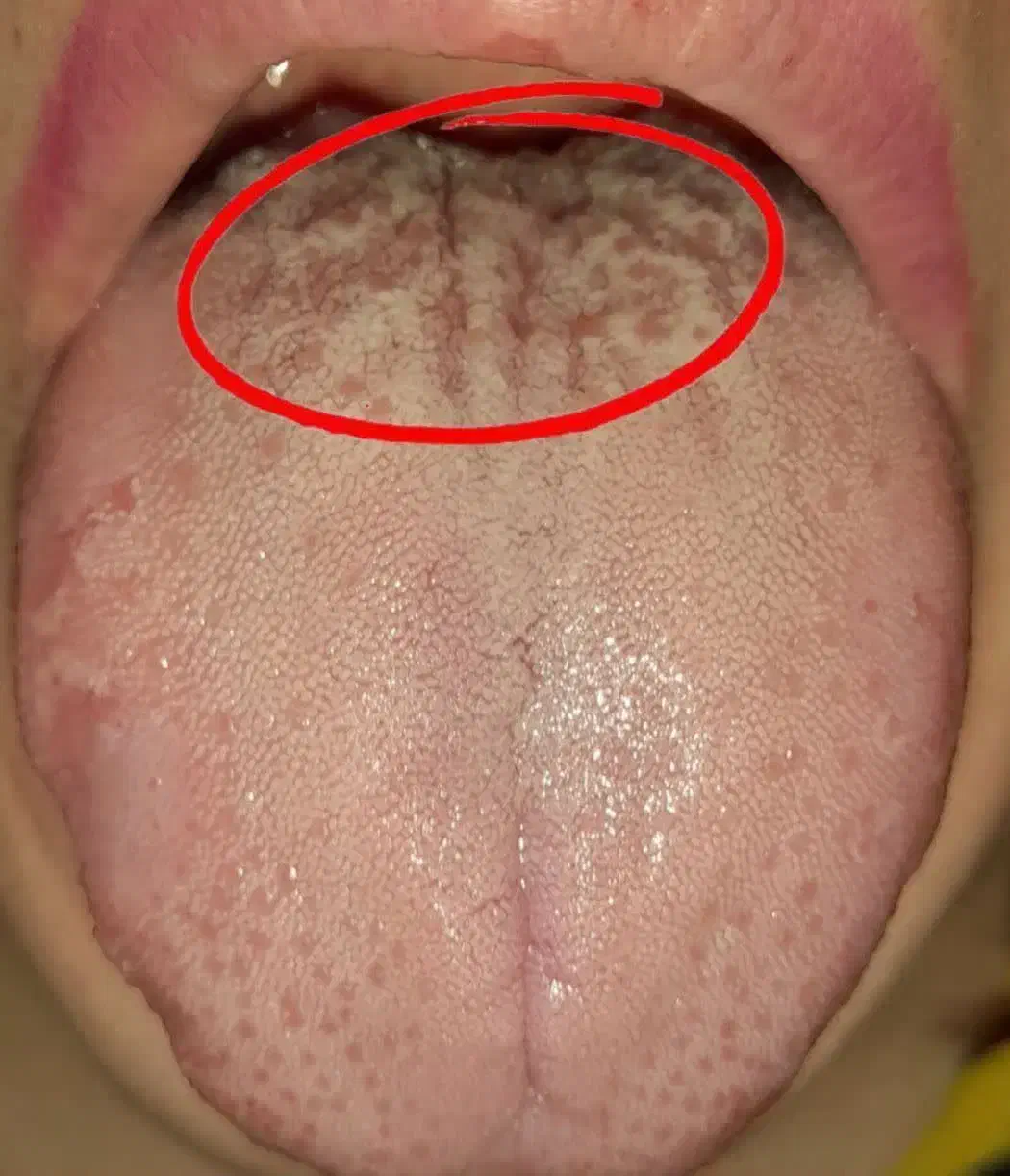 روغن های معجزه گر گیاهی|آرایشی، بهداشتی، درمانی|اردبیل, |دیوار