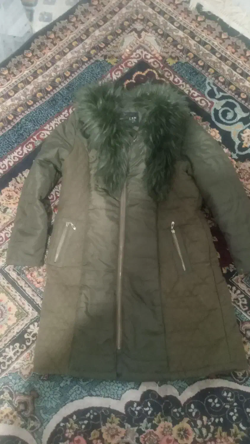 کاپشن زنانه|لباس|نهبندان, |دیوار