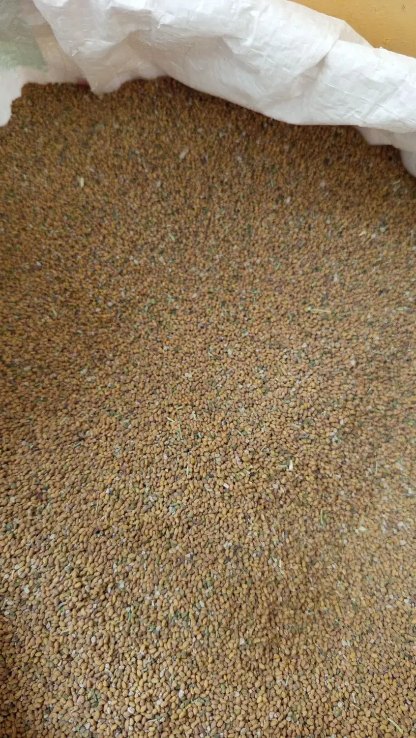 فروشتخماسپست|خوردنی و آشامیدنی|زهک, |دیوار