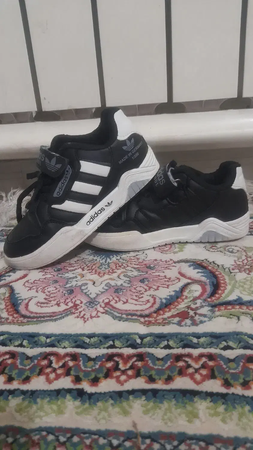 کفش|کیف، کفش، کمربند|پرند, فاز ۱|دیوار