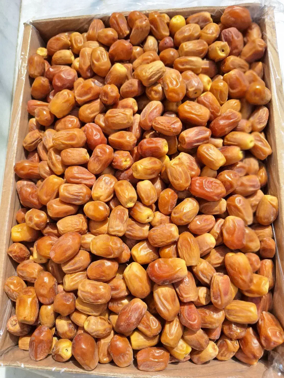 خرما زاهدی قصب|عمده‌فروشی|قیروکارزین, |دیوار