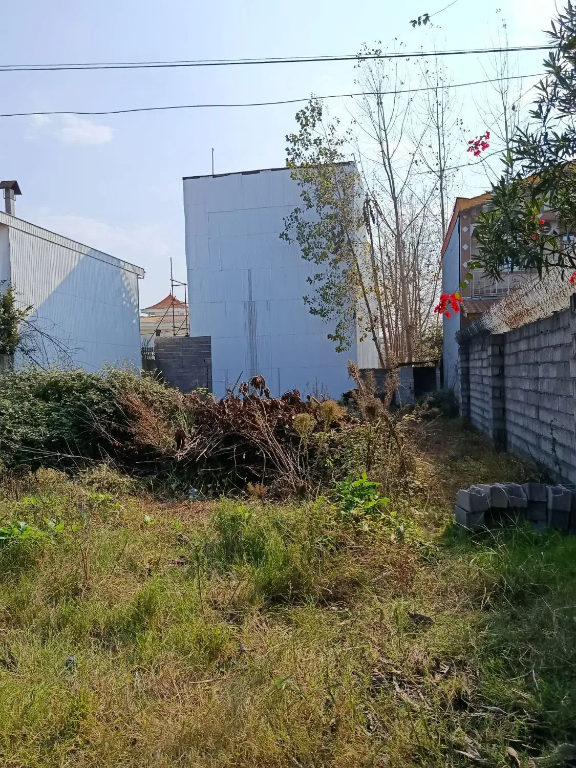 زمین با پروانه ساخت بنا۲۵۰متری|فروش زمین و ملک کلنگی|چاف و چمخاله, |دیوار