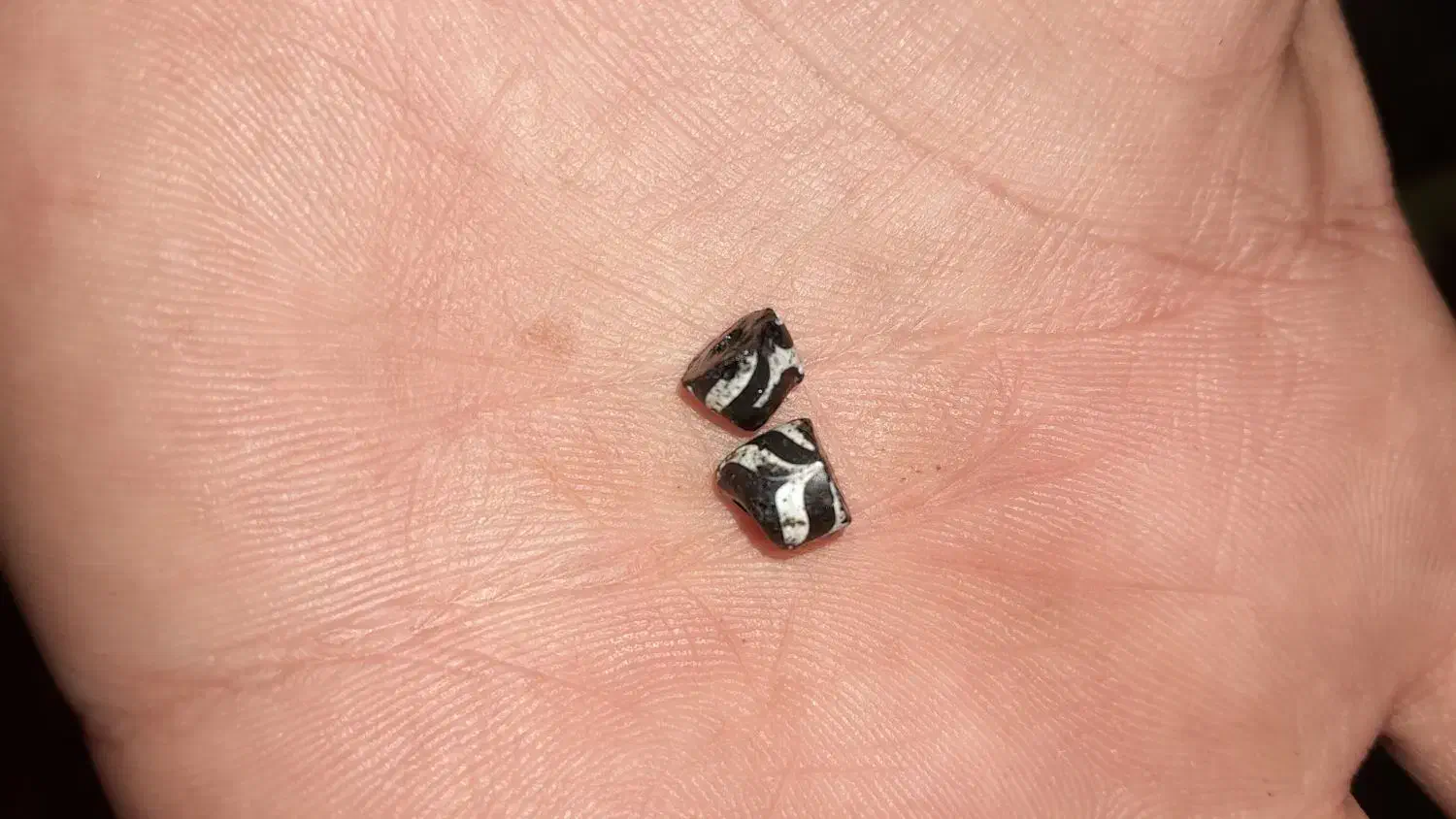 جفت مهره برد اصل ساسانی نر و ماده|کلکسیون اشیاء عتیقه|نورآباد ممسنی, |دیوار