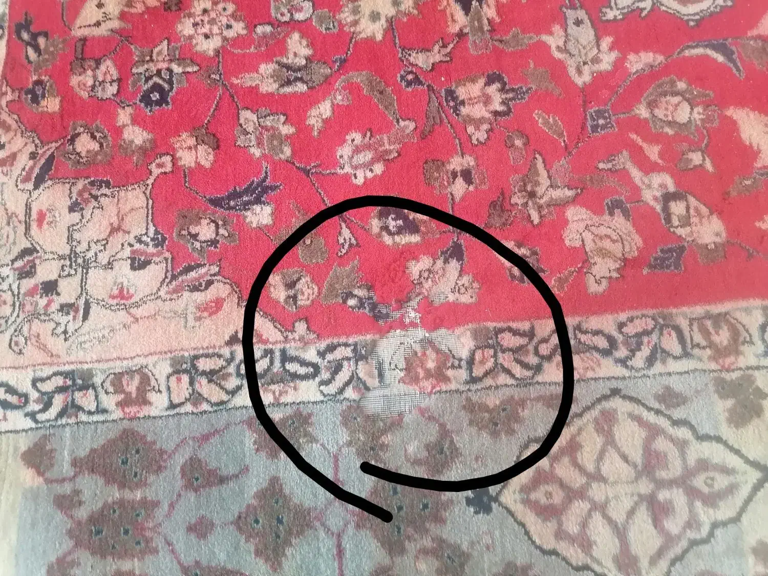 قالی ابریشمی|فرش|ایذه, |دیوار