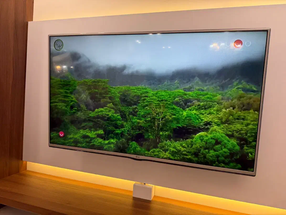 تلویزیون ال ای دی ۴۹ اینچ|تلویزیون و پروژکتور|تهران, چهارصد دستگاه|دیوار