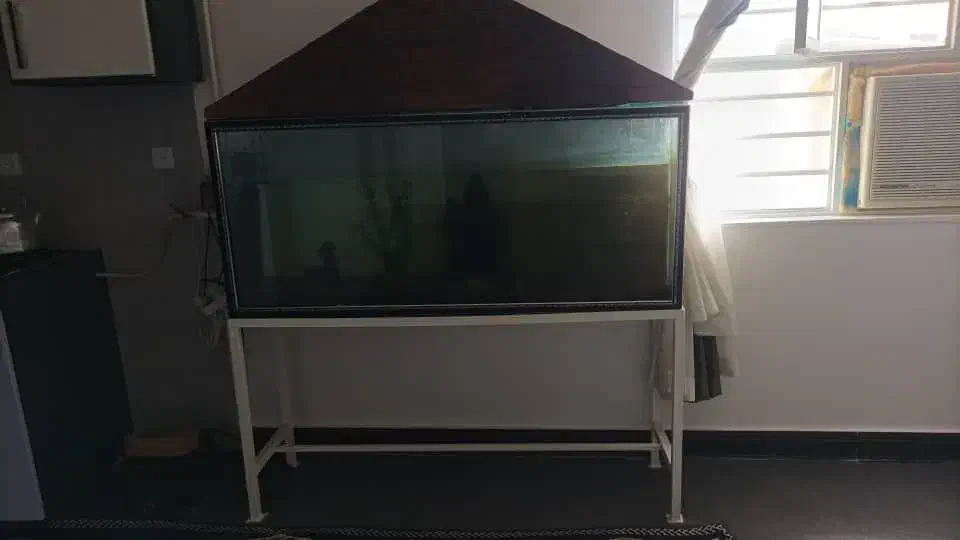 آکواریوم باتمام وسایل|ماهی|امیدیه, |دیوار