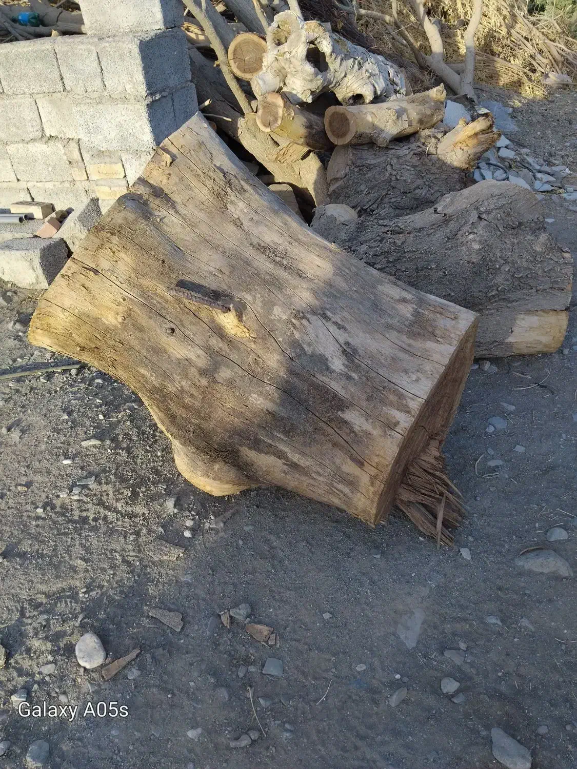 مقداری چوب درخت ابریشم یا شب خوس حدودا دوتن|مصالح و تجهیزات ساختمان|جیرفت, |دیوار