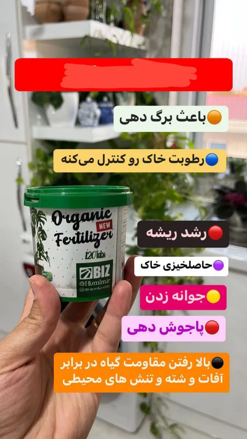 گل گیاه|گل و گیاه طبیعی|بهارستان, |دیوار