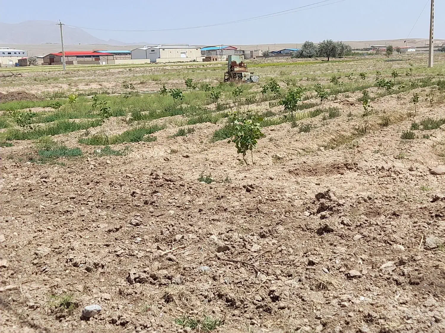 فروش۱۰۰۰مترزمین در کنار آسفالت جاده شبستر صفیان|فروش زمین و ملک کلنگی|شبستر, |دیوار