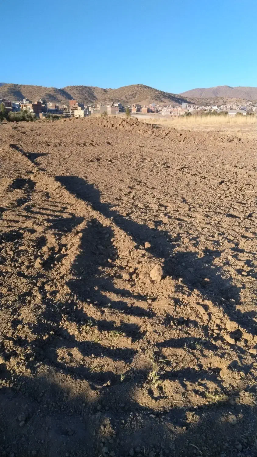 فروش زمین|فروش زمین و ملک کلنگی|مریوان, |دیوار