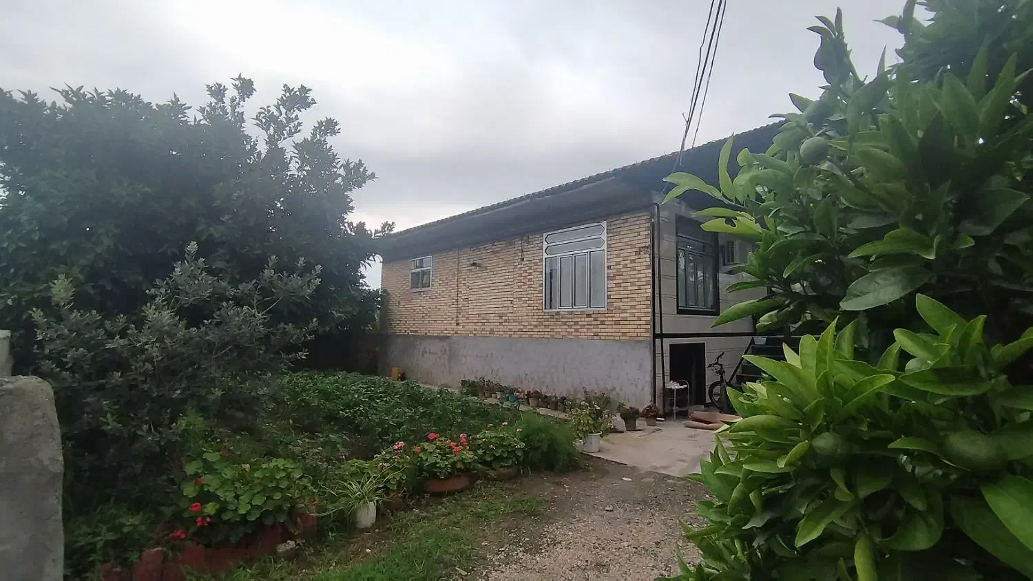 فروش زمین مسکونی همراه خانه|فروش زمین و ملک کلنگی|تالش, جوکندان|دیوار