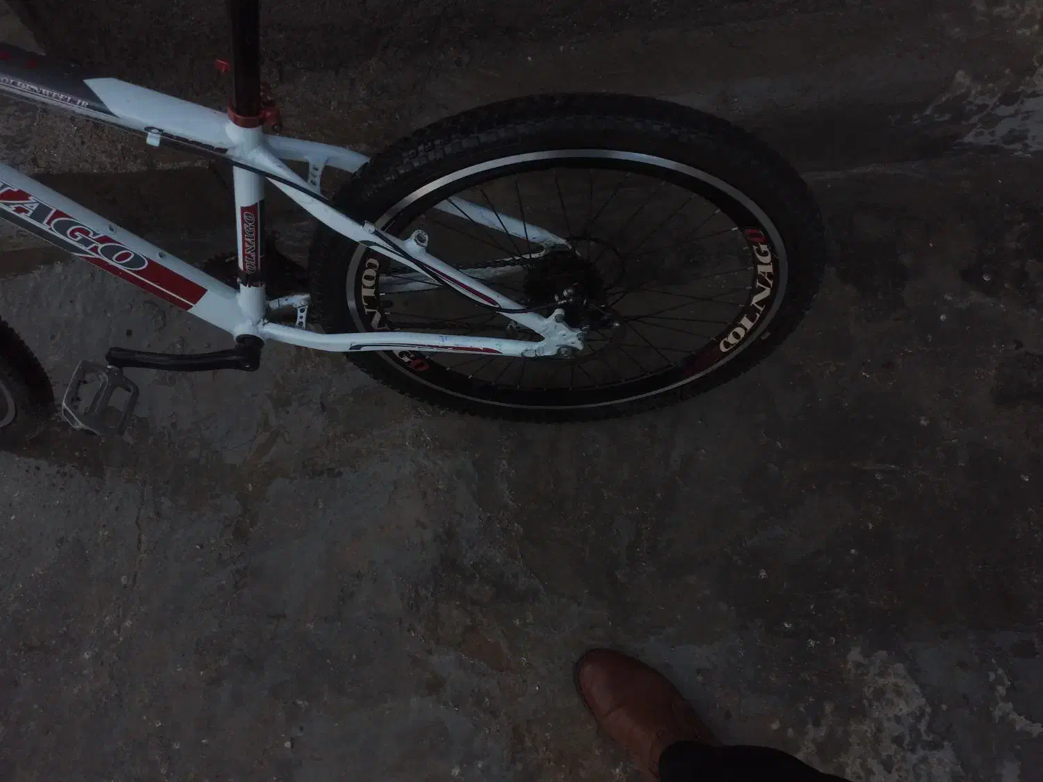 دوچرخه مارکcolnago|دوچرخه، اسکیت، اسکوتر|فارسان, |دیوار