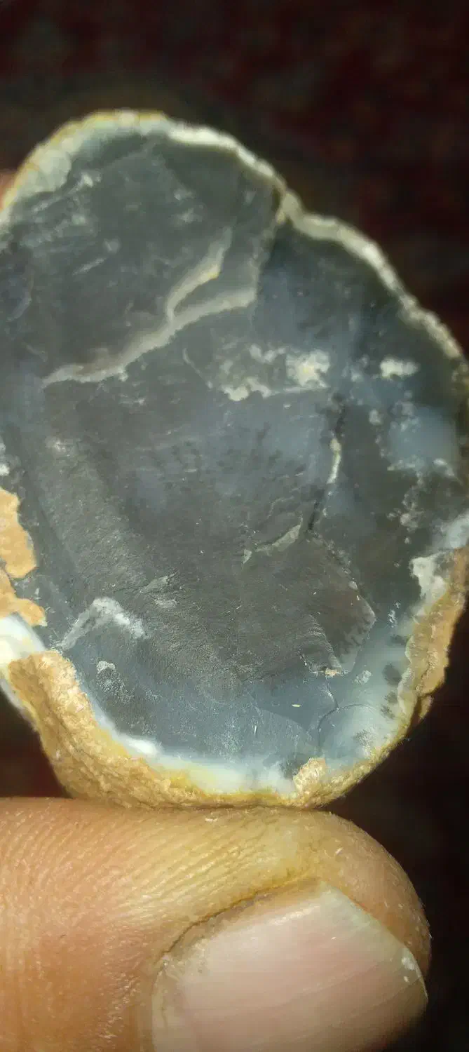 عقیق شجر دار|کلکسیون اشیاء عتیقه|شیراز, کوشک میدان|دیوار