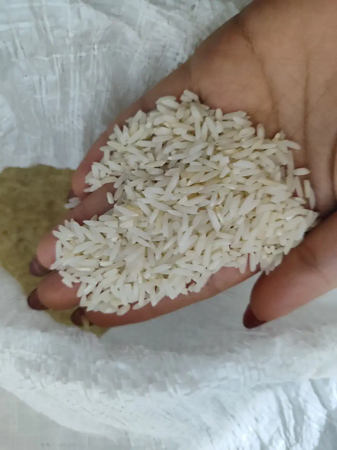 برنج هاشمی اعلا|خوردنی و آشامیدنی|حویق, |دیوار