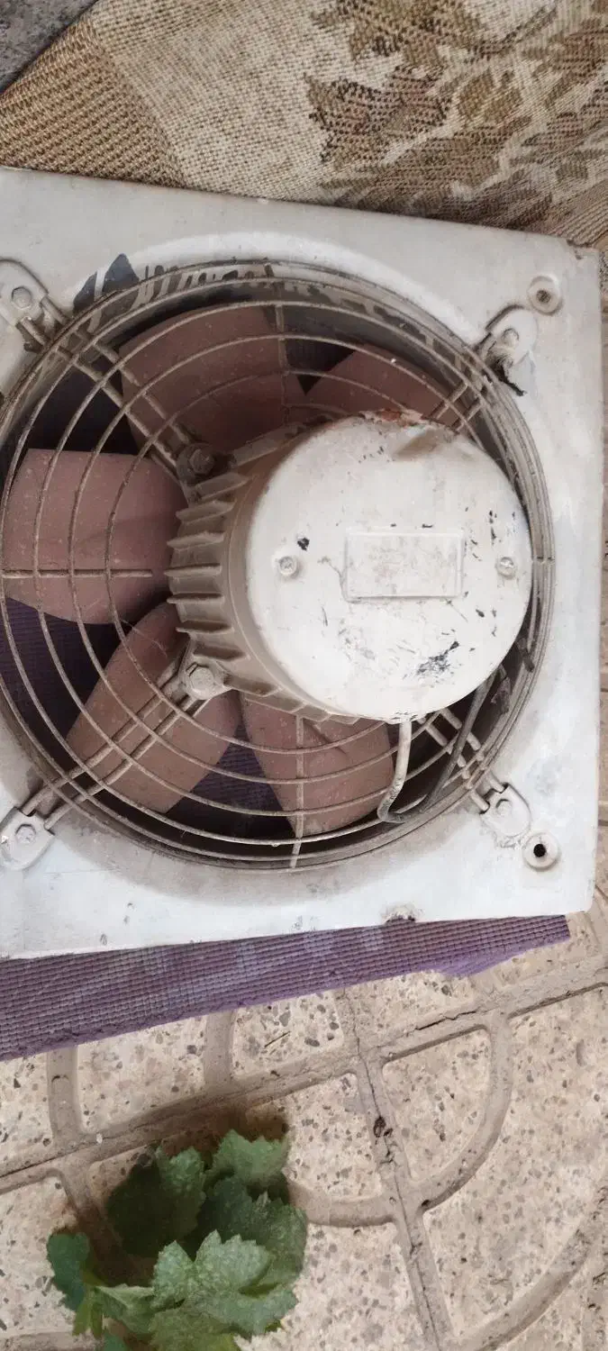 فن رستورانی یا کارگاهی|پنکه و تصفیه‌کنندهٔ هوا|نیشابور, شهرک ولیعصر|دیوار