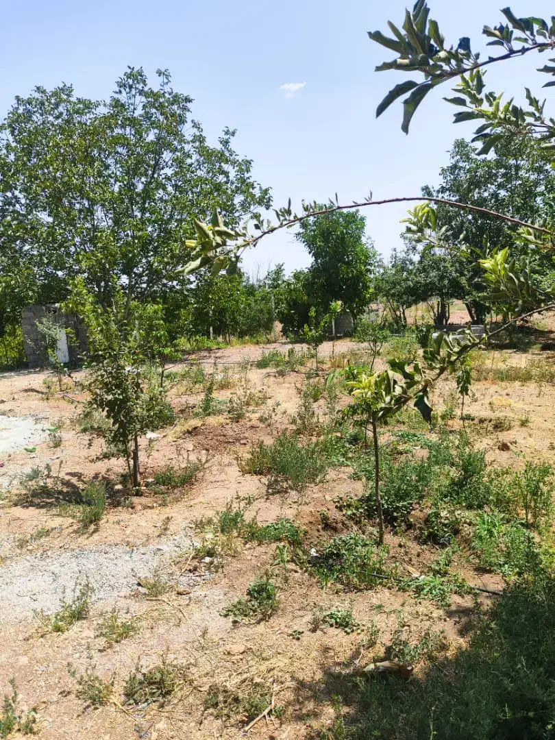 فروش زمین ۲۷۸۰ متری در محدوده پل زمانخان|فروش زمین و ملک کلنگی|اصفهان, بهاران|دیوار