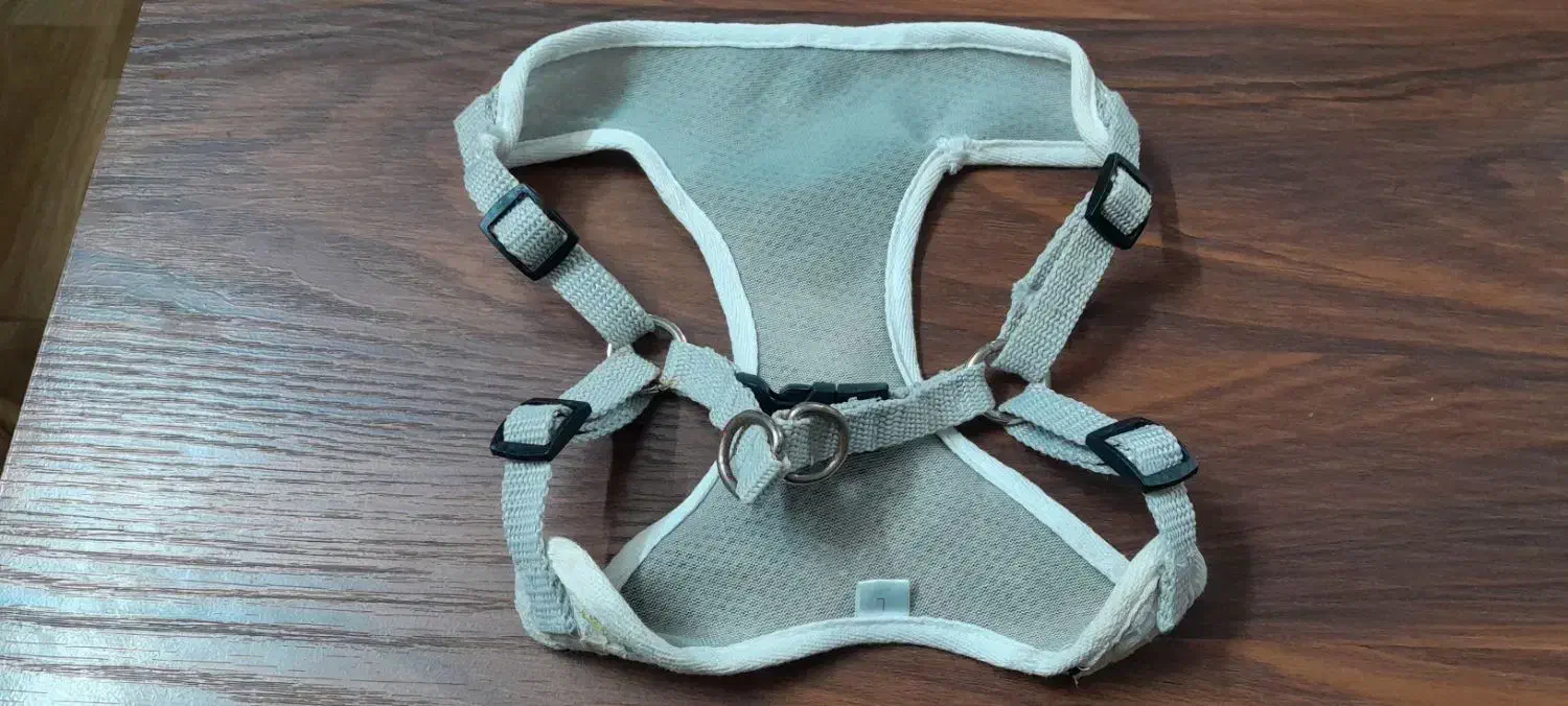 لباس سگ|لوازم جانبی حیوانات|کاشمر, |دیوار