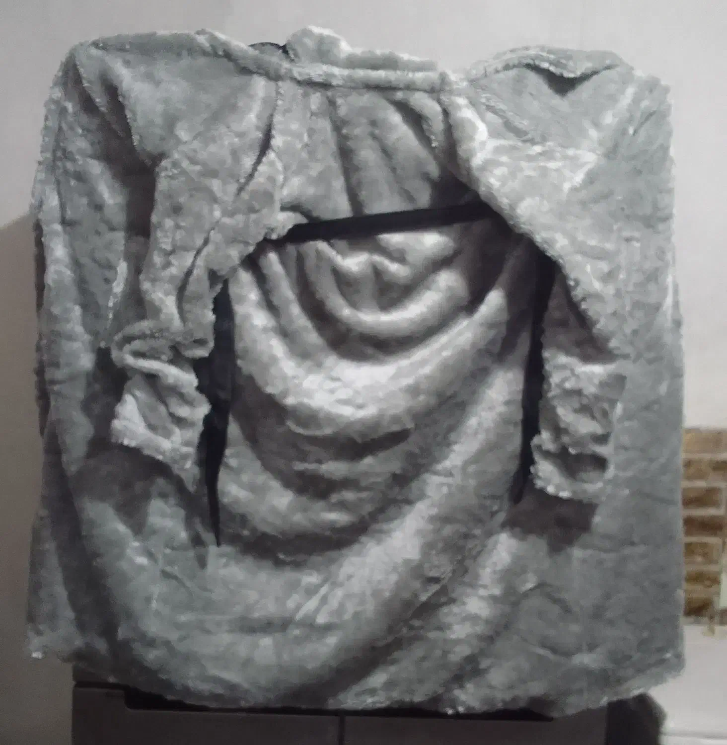 پالتو خزدار|لباس|فومن, |دیوار