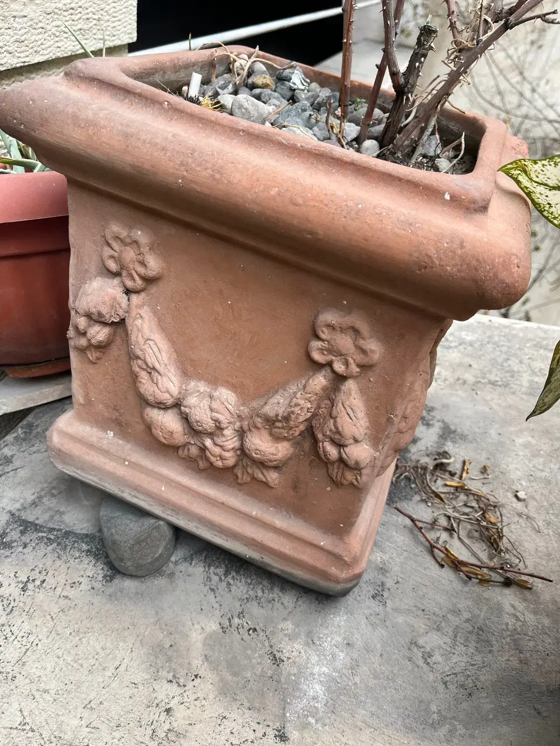 گلدان های سفالی|گل و گیاه طبیعی|تهران, ونک|دیوار