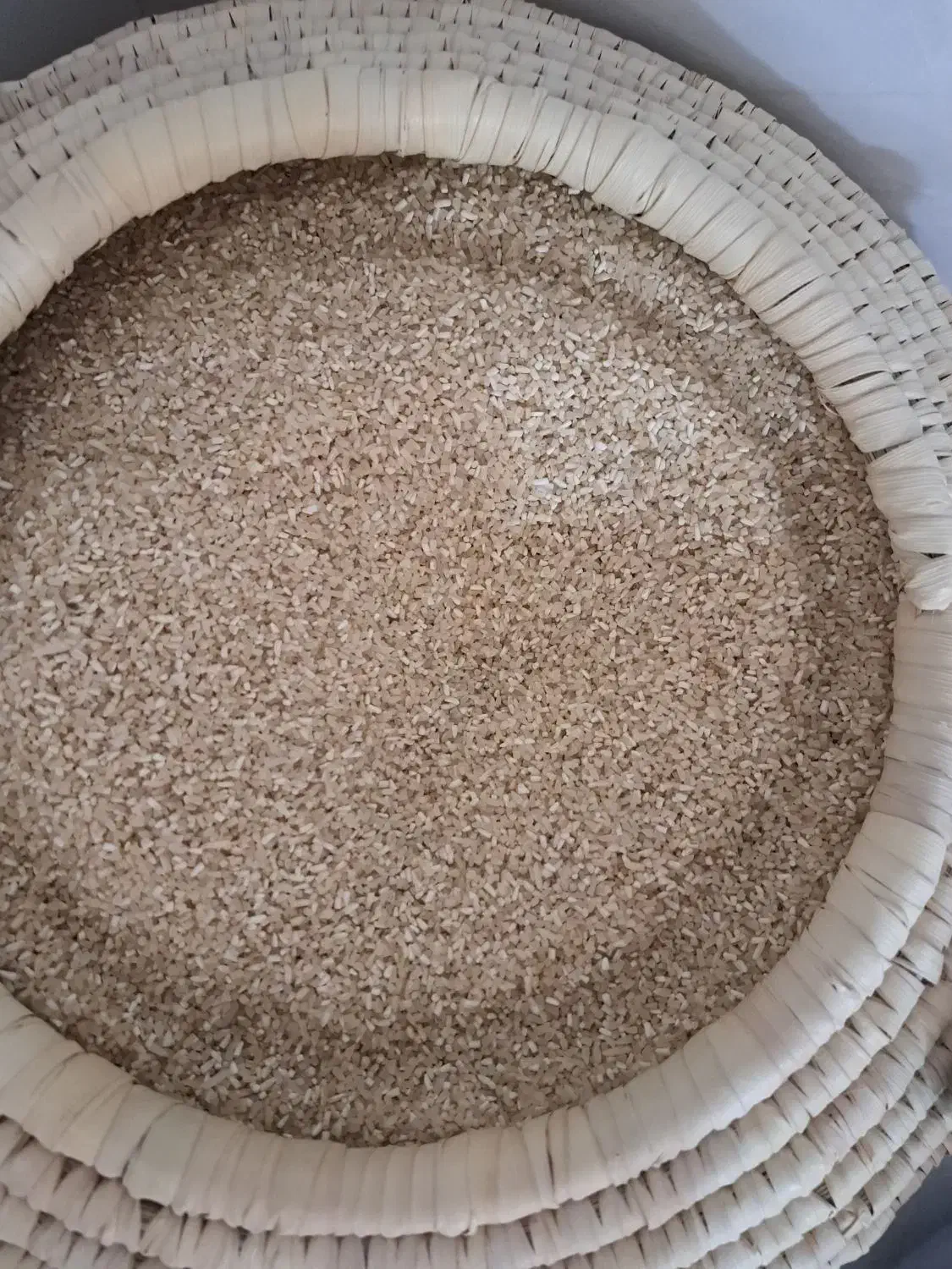 برنج نیم دانه طارم|خوردنی و آشامیدنی|سبزوار, قصبه غربی|دیوار