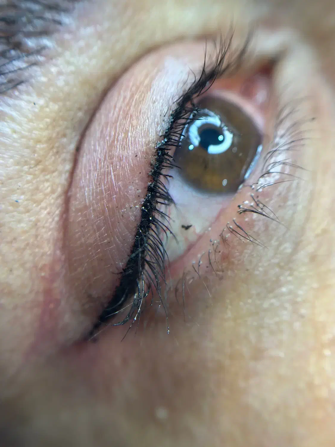 تتو صورت اف ویژه|خدمات آرایشگری و زیبایی|آمل, |دیوار