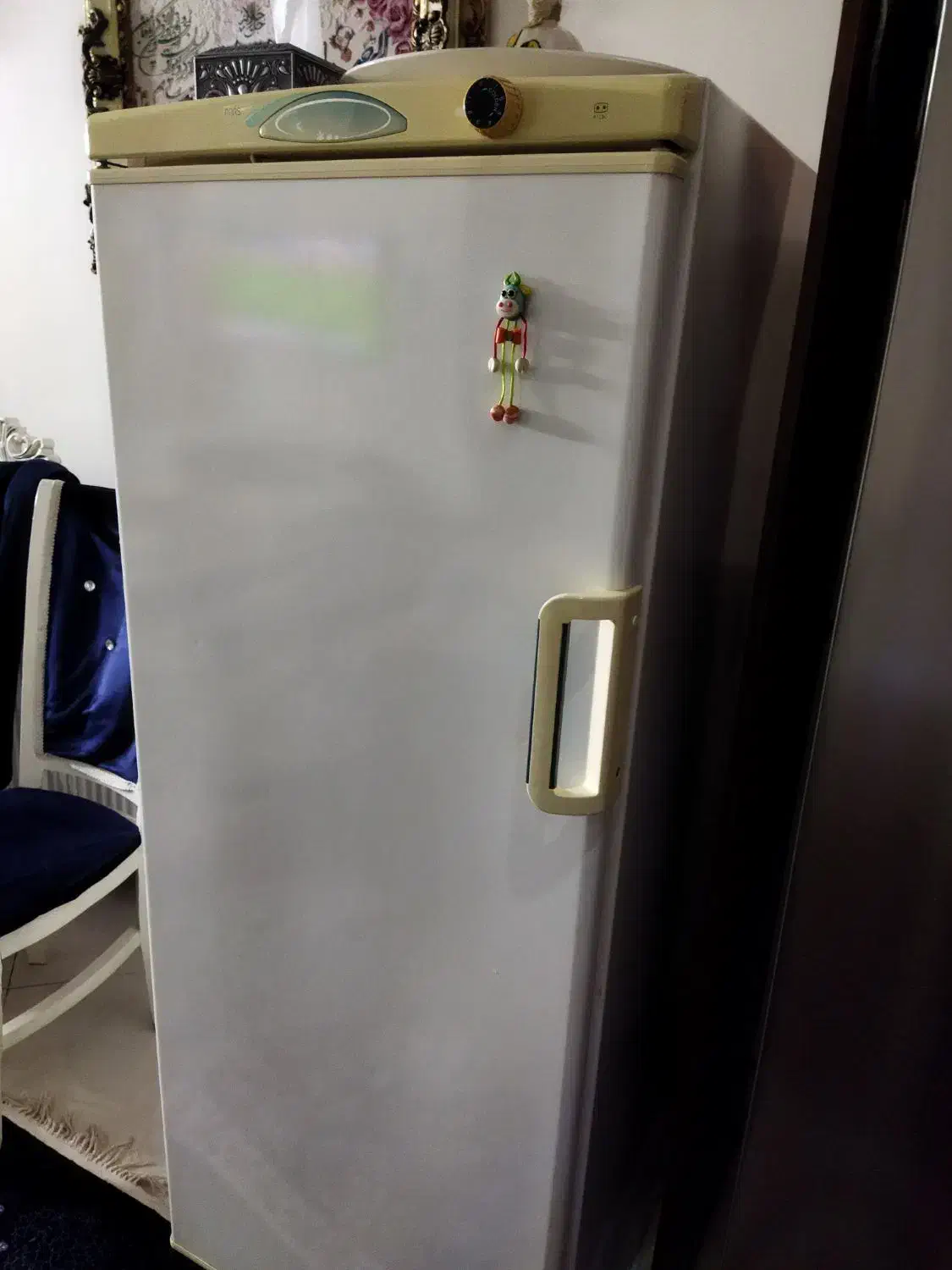 فریزر پارس|یخچال و فریزر|ری, شهادت|دیوار