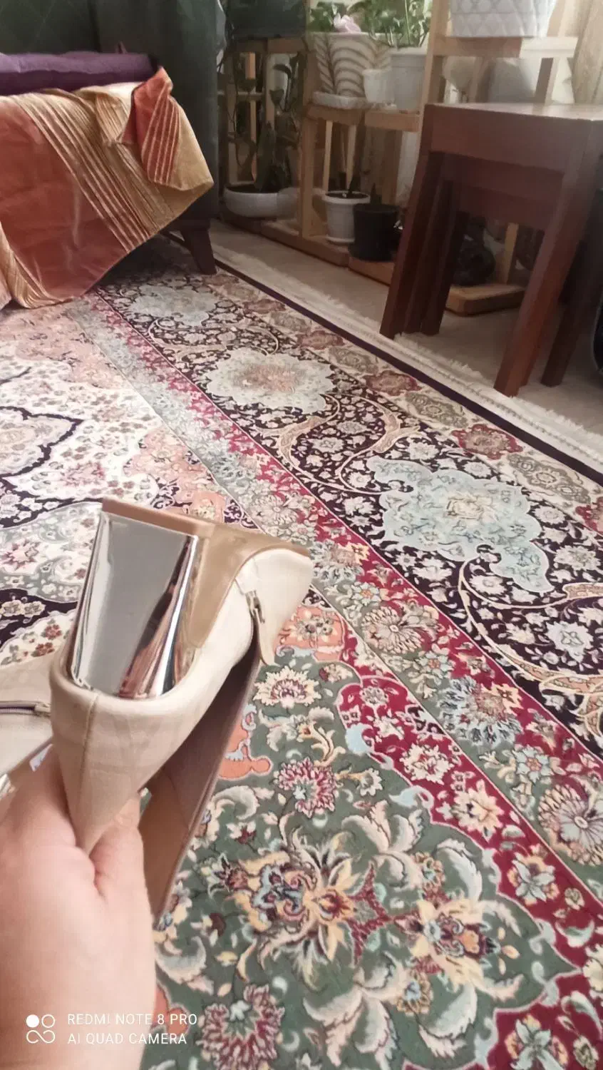 کفش|کیف، کفش، کمربند|قم, نیروگاه|دیوار