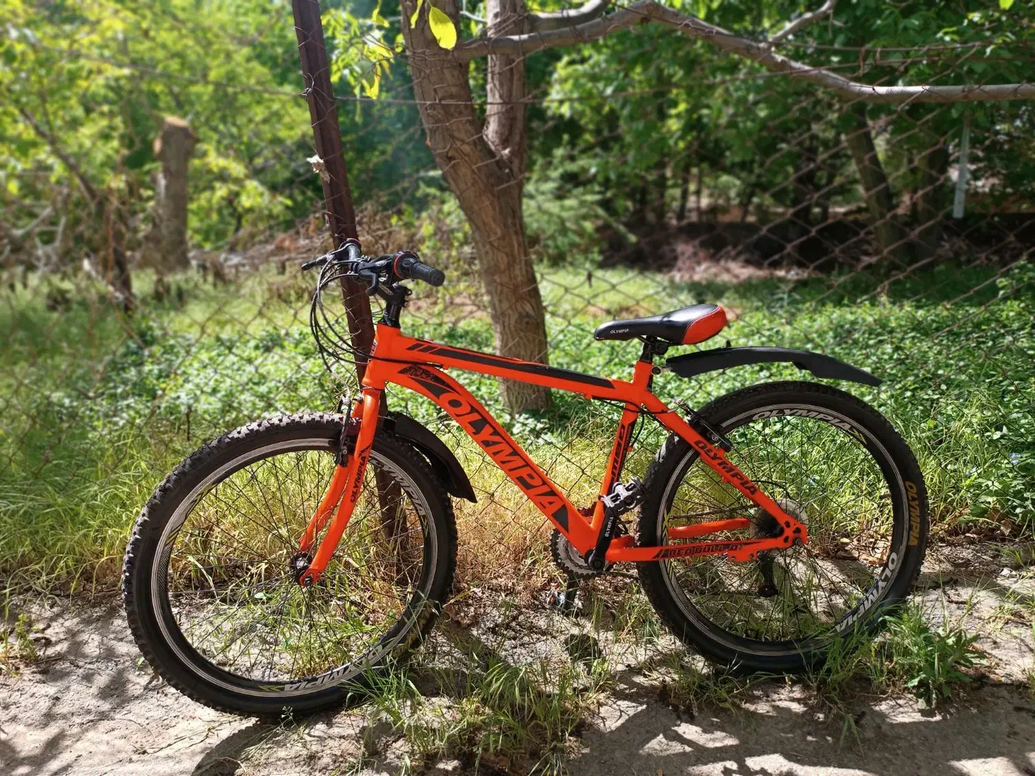 دوچرخه ی المپیا سایز 26|دوچرخه، اسکیت، اسکوتر|هشتگرد, هیو|دیوار