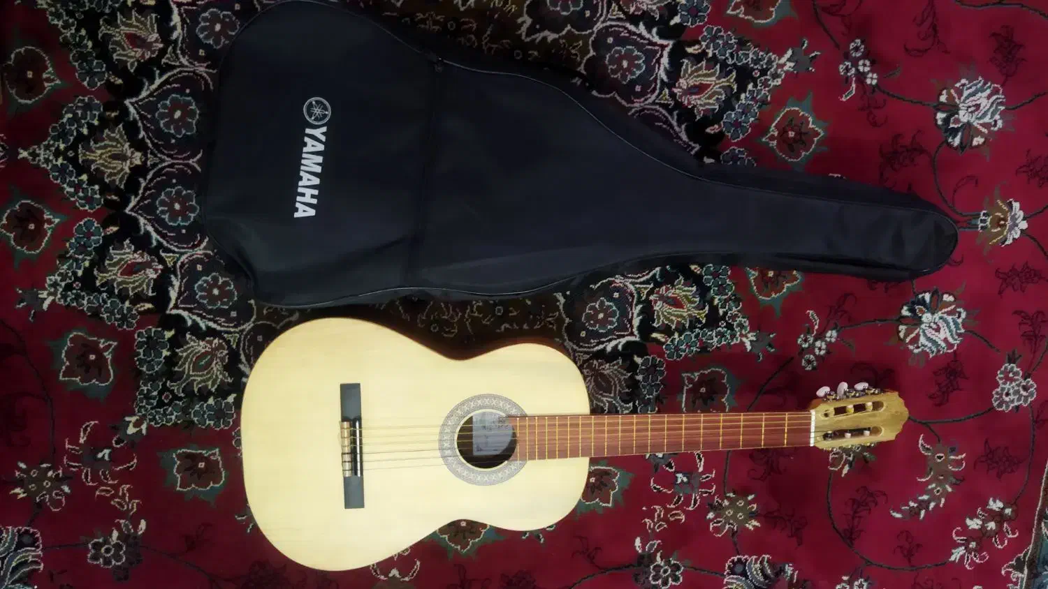 گیتار آریا|گیتار، بیس، امپلیفایر|سبزوار, امیریه|دیوار