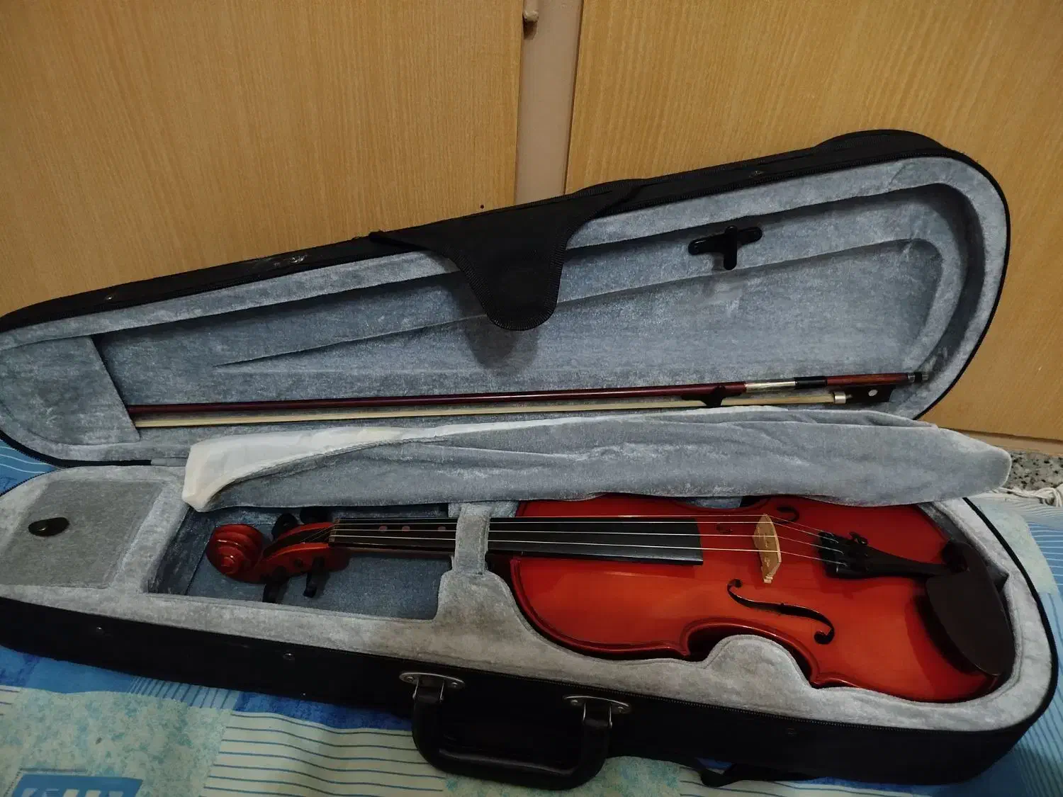 ویولن TF student|ویولن|شیراز, شهرک ولیعصر|دیوار