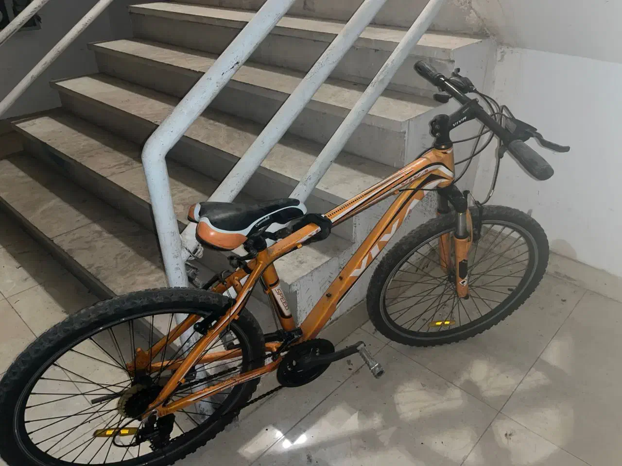 دوچرخه ویوا|دوچرخه، اسکیت، اسکوتر|کیش, |دیوار