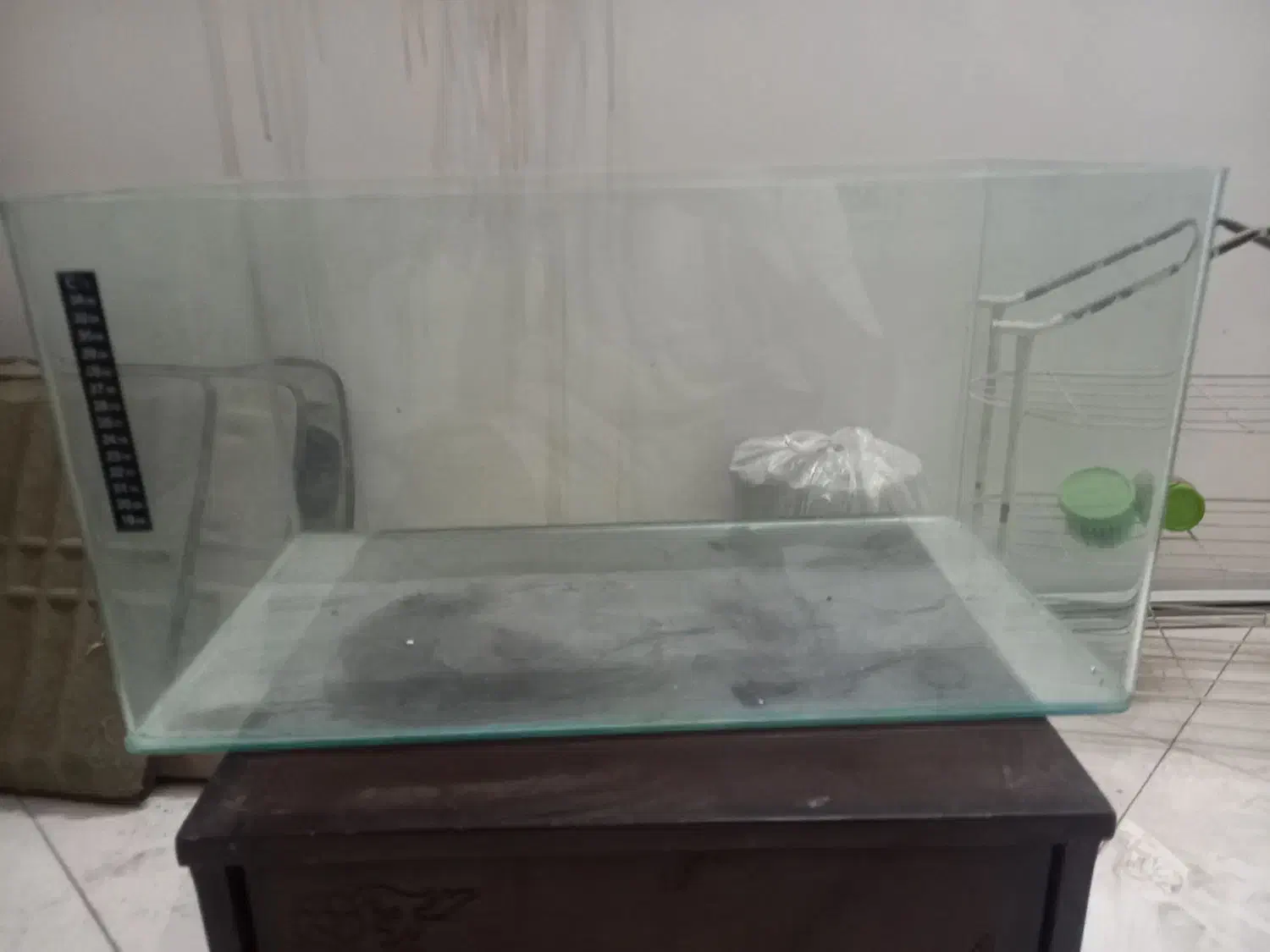 اکواریوم شیشه خم|ماهی|برخوار, |دیوار