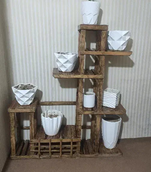 گلدان|گل و گیاه طبیعی|مشهد, فدک|دیوار