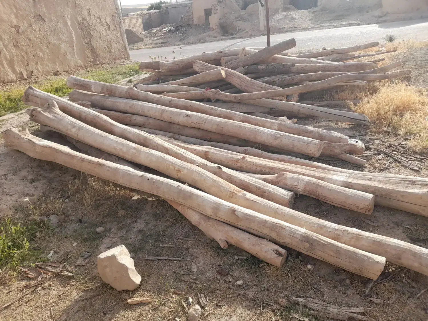 خریدار چوب بابت تولید زغال کبابی|خدمات باغبانی و درختکاری|کبودرآهنگ, |دیوار