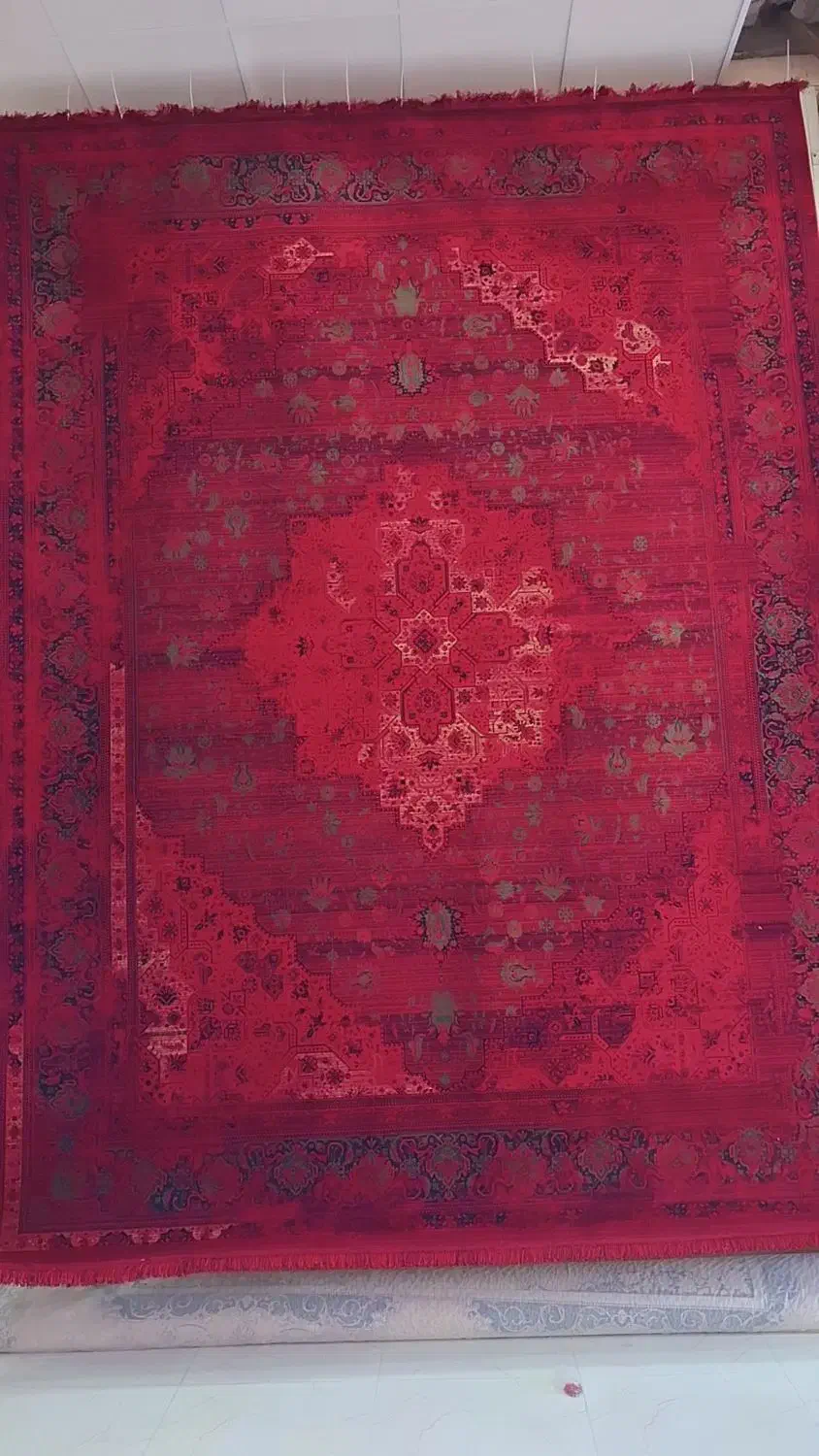 مجموعه کامل از فرش ونقش درنمایشگاه|فرش|بوشهر, |دیوار