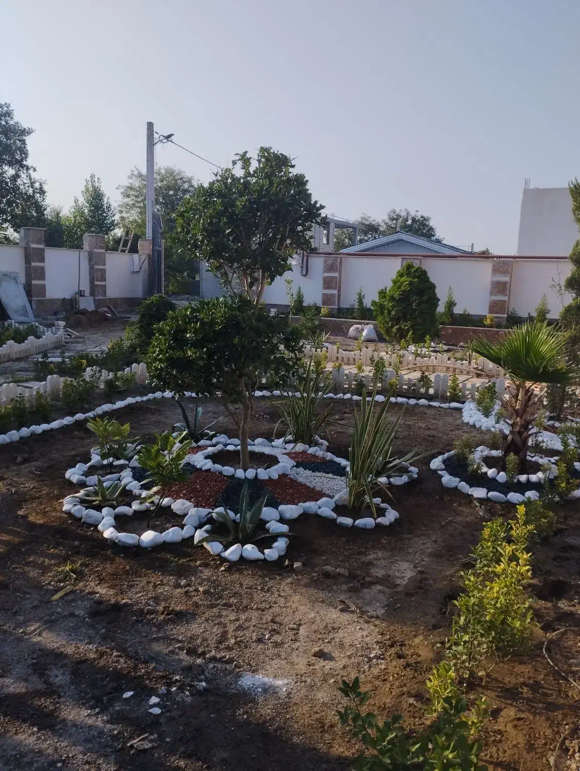 باغبانی ، درختکاری و طراحی فضای سبز|خدمات باغبانی و درختکاری|فومن, |دیوار