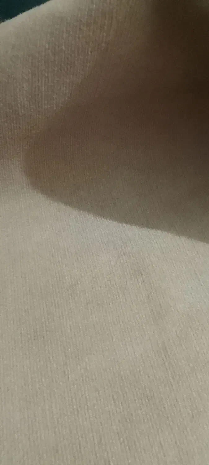 موکت ساده تمیز کرمی|موکت|آبادان, |دیوار